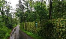 微雨清风游龙溪