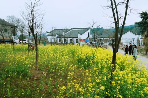 迷人的好汤