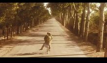 阴影的反面尽是阳光