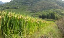 追寻秋天的足迹