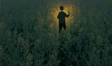 那个陌生的背影