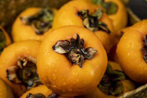 桂花香·柿子红