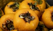 桂花香·柿子红