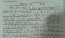 介绍一种事物作文