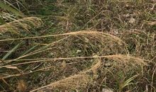 不惧困难勇往直前