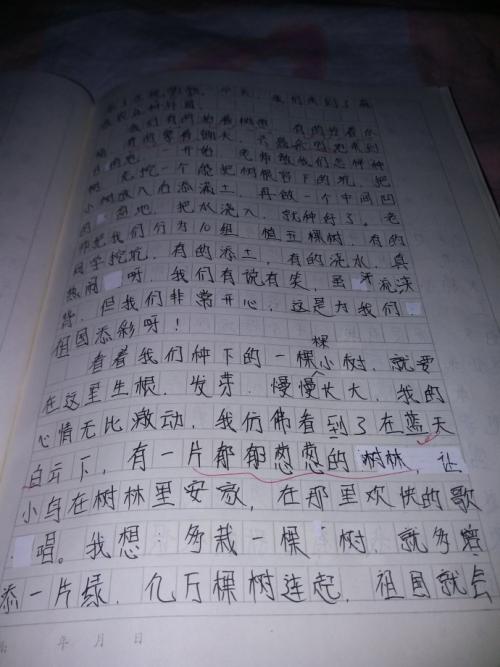 研究组成