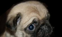 一件委屈的事情