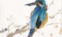 一只小鸟的呼唤