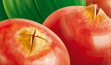 我喜欢的水果石榴