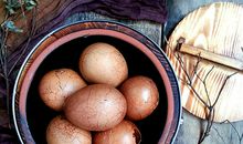 难忘的立蛋实验