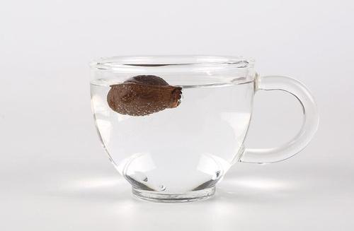 胖海变态