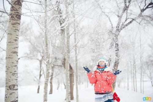 雪花飞