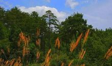 路在脚下，你必须走