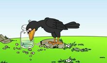 乌鸦喝水改编故事