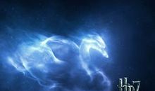 我的快乐守护神