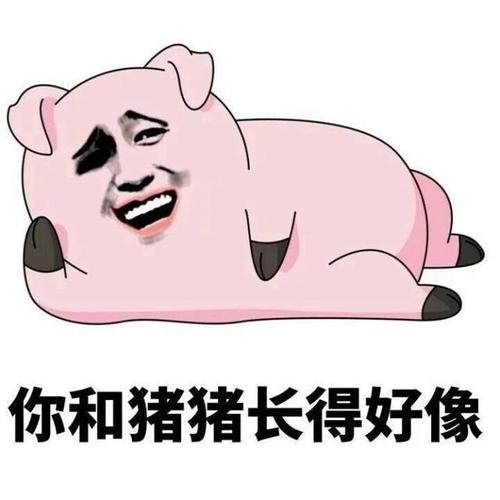 与我的伴侣一件事