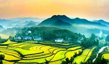 越来越美的家乡