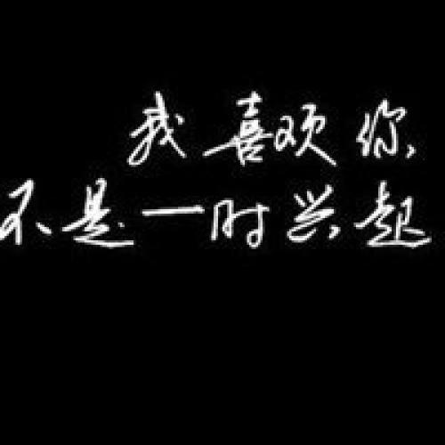 每天见面