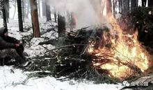 离别也是一种养料