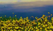 五颜六色的家乡