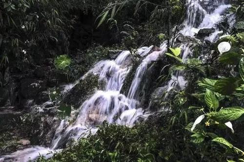 为了活水