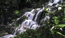 为有源头活水来