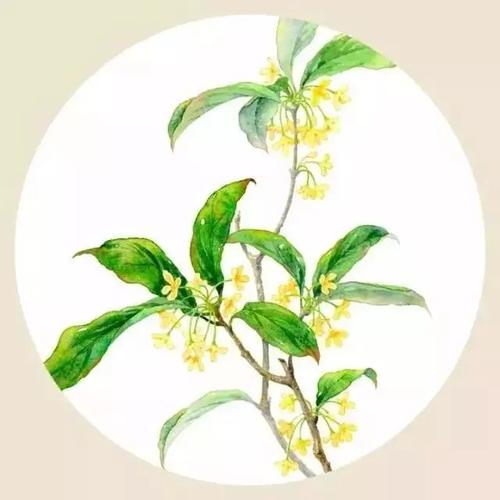 初中作文