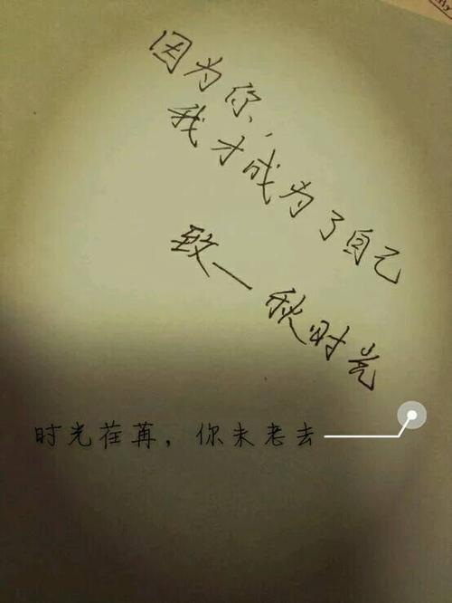 时光飞逝，青春无悔