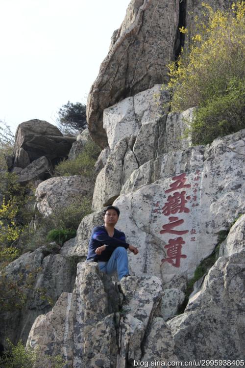 关于“泰山”的思想