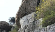 《泰山》观后感