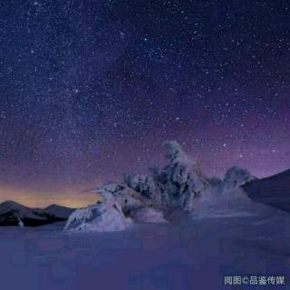 三年级的成分藏在草丛中的星星