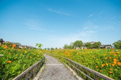 幸福与宽容齐头并进