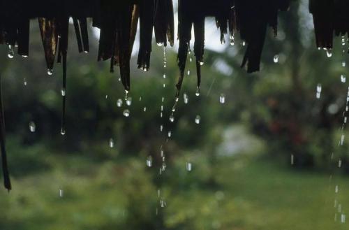 听雨
