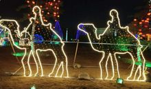 春节向我们走来