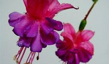 这个春天，真好听