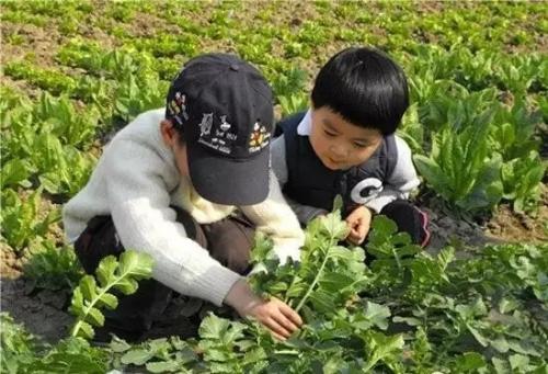 体验乡村生活