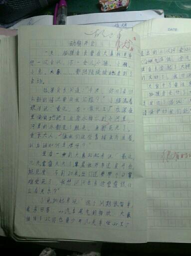 用400字介绍事物
