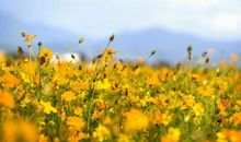 坚强让生活更美好