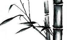 我学会了画国画