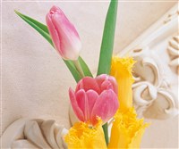 因花香而美丽