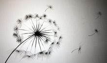 第一次尝试洗鞋