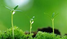 勇气可以战胜一切