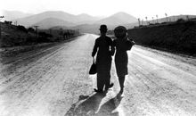 我重新认识了她