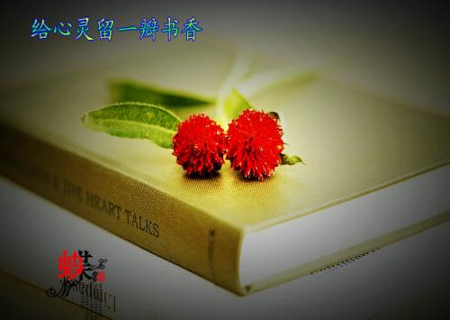 书的香气伴随着灵魂