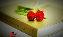 书香伴心灵飘飞