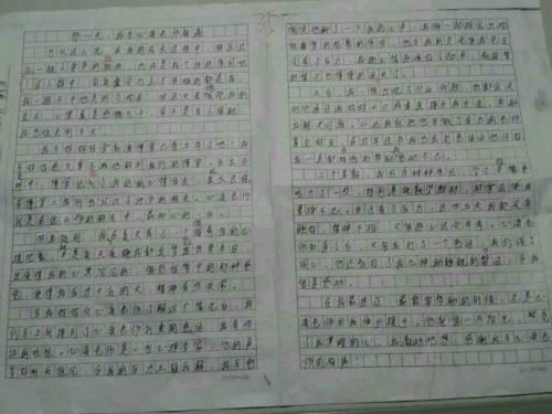 什么是第一成分