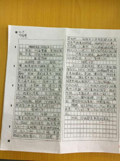 公开我们班的论文
