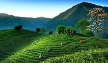 美丽的乡村四季