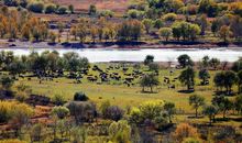 秋天，让我醉了