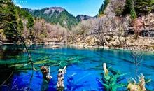 那次我与芳菲春色擦肩而过